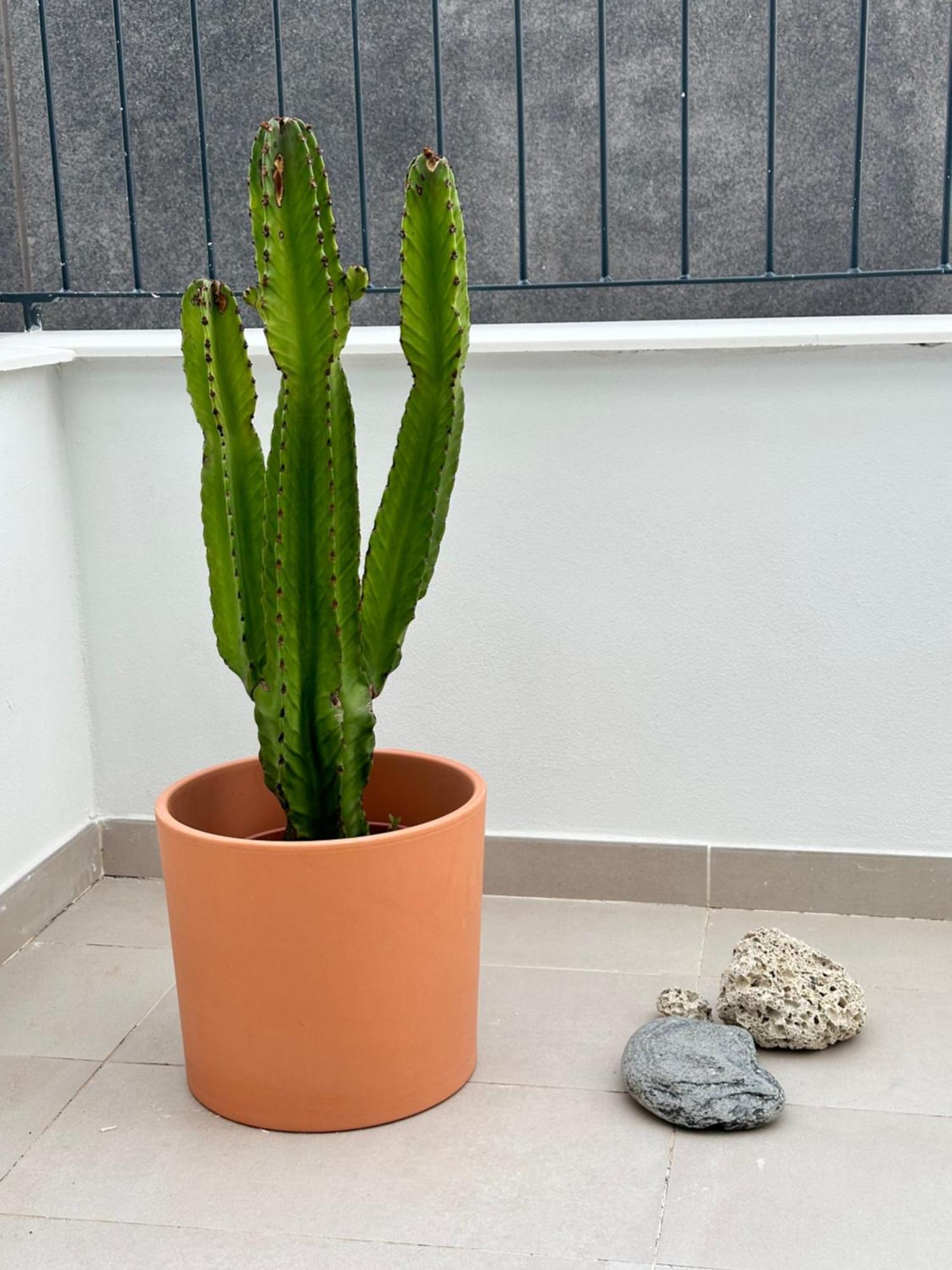 Julia Ancor Beach Abades (Tenerife) Exterior foto
